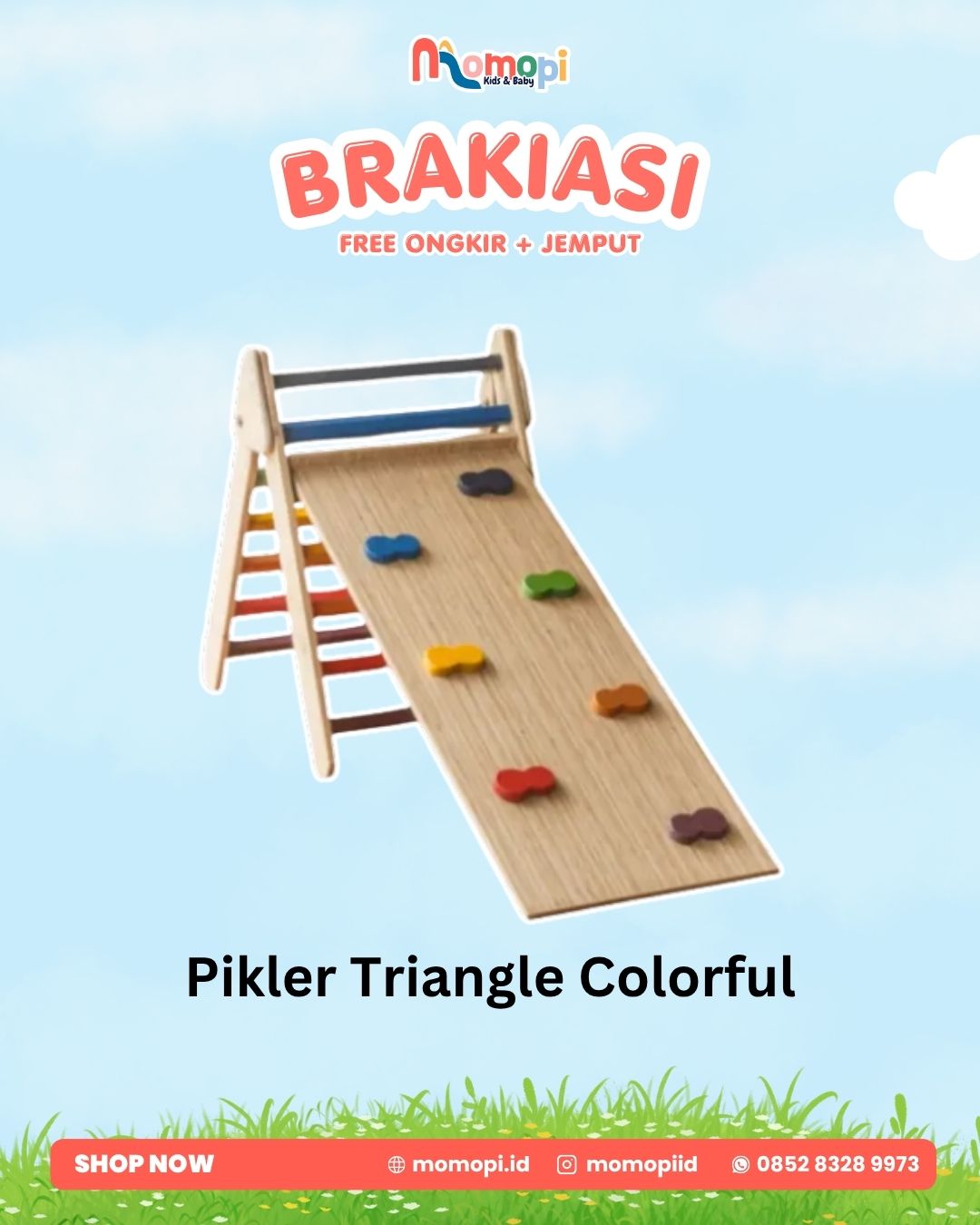 Momopi Pickler Triangle Colorful