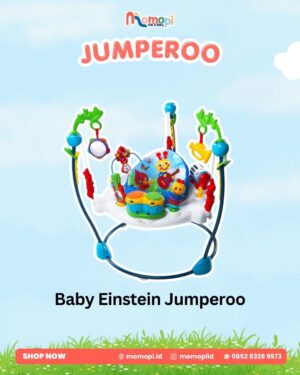 Baby Einstein Jumperoo