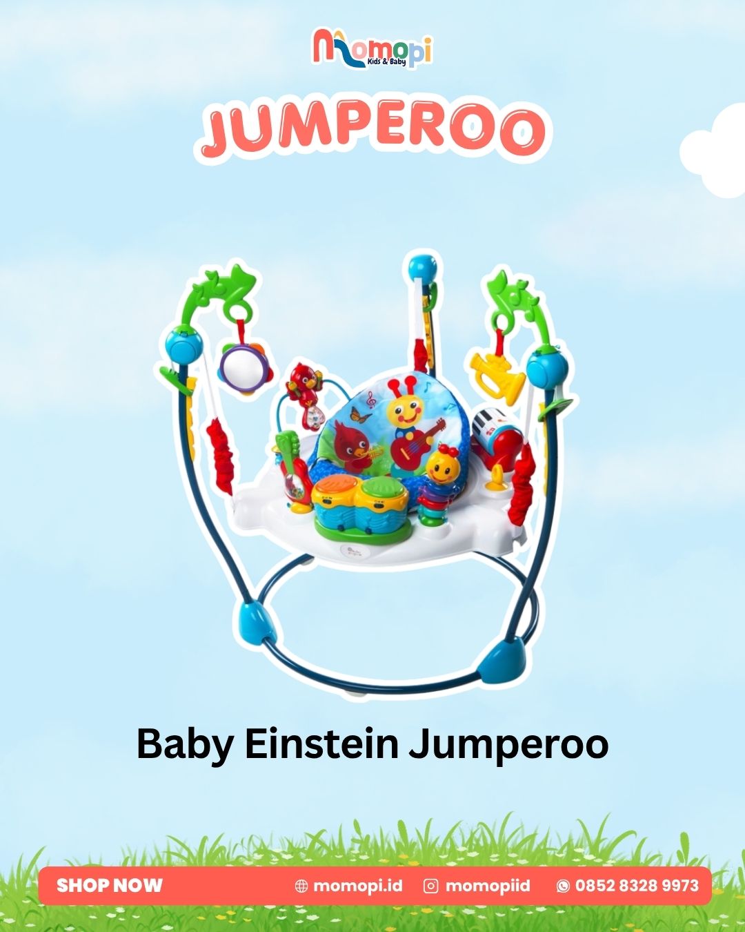 Baby Einstein Jumperoo