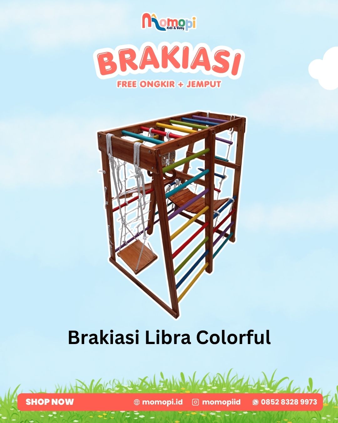 Brakiasi Libra Colorful