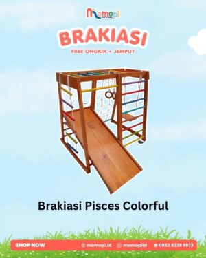 Brakiasi Pisces Colorful