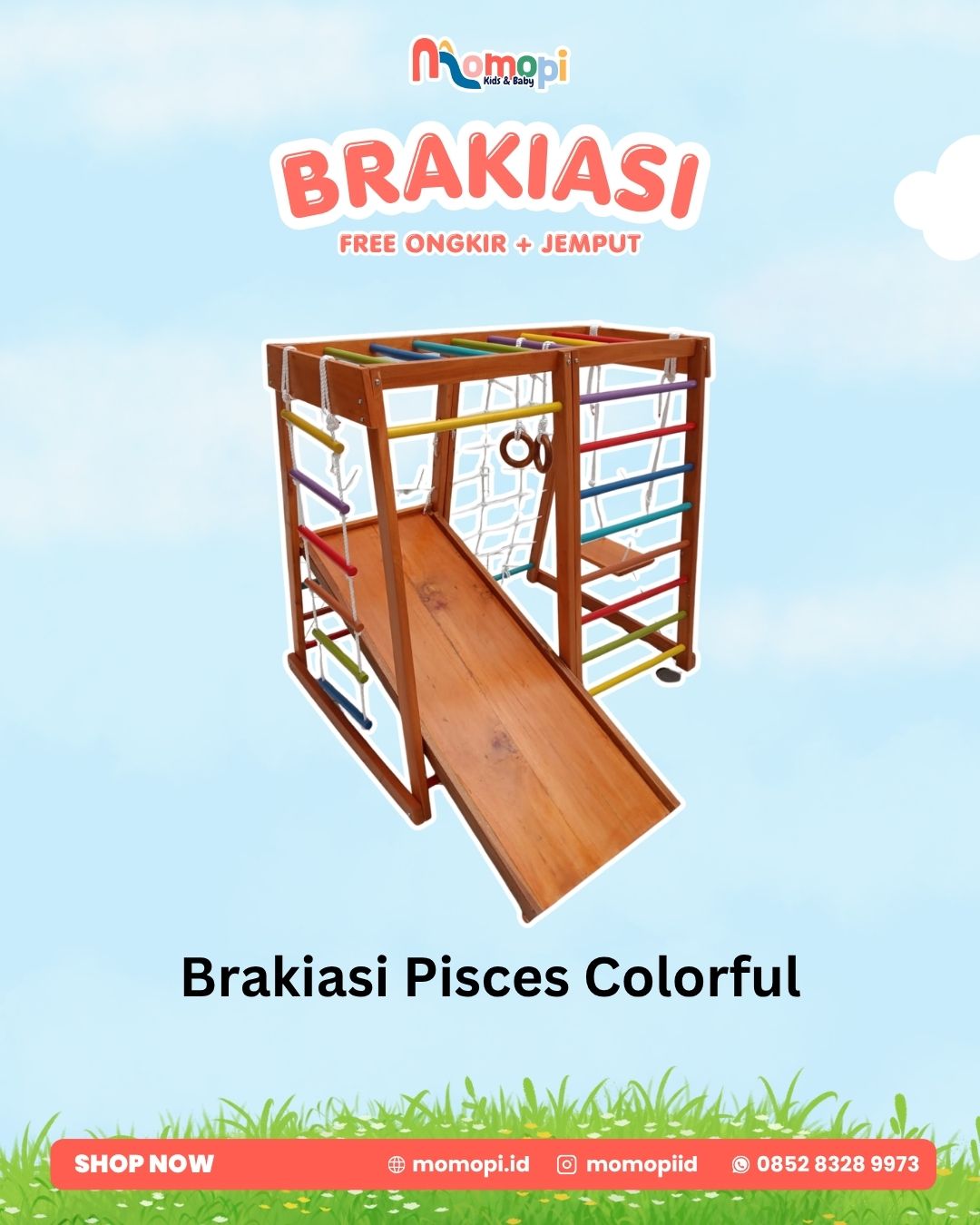 Brakiasi Pisces Colorful