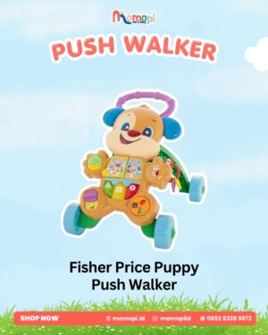 Fisher Price Puppy Push Walker