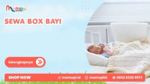 Read more about the article Sewa Box Bayi Solusi Untuk Kenyamanan Si Kecil Di Rumah