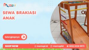 Read more about the article Sewa Brakiasi Anak Untuk Menemani Aktivitas Bermain Anak