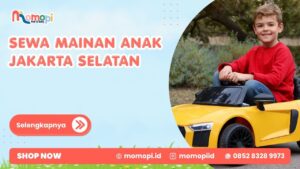 Read more about the article Sewa Mainan Anak Jakarta Selatan Dengan Koleksi Terlengkap