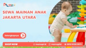 Read more about the article Sewa Mainan Anak Jakarta Utara Menjadi Favorit Orang Tua
