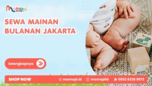 Read more about the article Sewa Mainan Bulanan Jakarta Solusi Hemat Untuk Anak Aktif