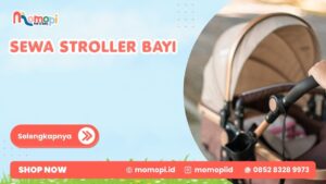Read more about the article Sewa Stroller Bayi Berkualitas Untuk Newborn Hingga Balita