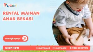 Read more about the article Rental Mainan Anak Bekasi Untuk Bermain Lebih Variatif Di Rumah