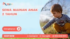 Read more about the article Sewa Mainan Anak 2 Tahun Untuk Mendukung Aktivitas Bermain