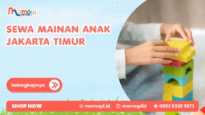 Read more about the article Sewa Mainan Anak Jakarta Timur Dengan Koleksi Terlengkap
