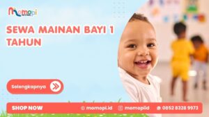 Read more about the article Sewa Mainan Bayi 1 Tahun Untuk Mendukung Anak Lebih Aktif