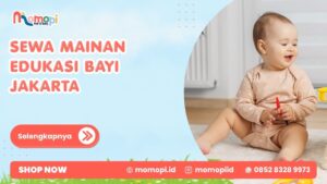 Read more about the article Sewa Mainan Edukasi Bayi Jakarta Adalah Pilihan Yang Tepat