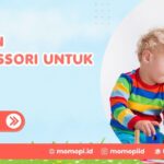 Mainan Montessori Untuk Bayi