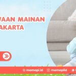 Penyewaan Mainan Anak Jakarta