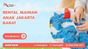Read more about the article Rental Mainan Anak Jakarta Barat Solusi Mainan Lebih Variatif
