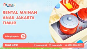 Read more about the article Rental Mainan Anak Jakarta Timur Dengan Pilihan Mainan Seru