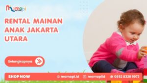 Read more about the article Rental Mainan Anak Jakarta Utara Solusi Mainan Lebih Variatif