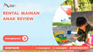 Read more about the article Rental Mainan Anak Review Sebelum Memilih Layanan Sewa