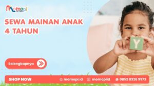 Read more about the article Sewa Mainan Anak 4 Tahun Sesuai Tahap Perkembangan Anak