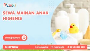 Read more about the article Sewa Mainan Anak Higienis Dengan Koleksi Mainan Berkualitas