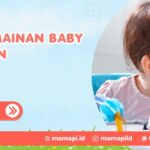 Sewa Mainan Baby Einstein