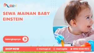 Read more about the article Sewa Mainan Baby Einstein Untuk Menemani Tumbuh Kembang