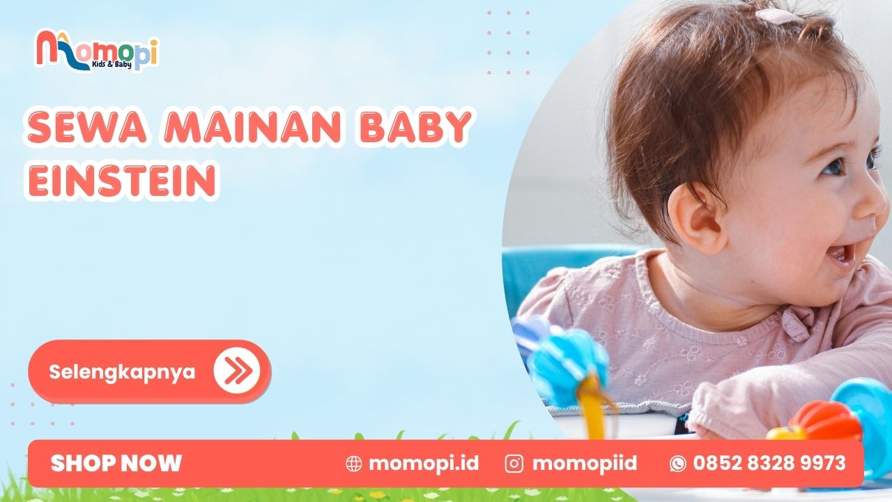Sewa Mainan Baby Einstein Untuk Menemani Tumbuh Kembang