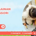 Sewa Mainan Montessori