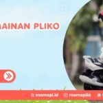 Sewa Mainan Pliko