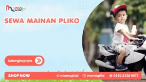 Read more about the article Sewa Mainan Pliko Solusi Hemat Menghadirkan Mainan Menarik