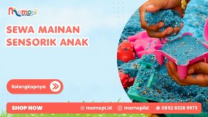 Read more about the article Sewa Mainan Sensorik Anak Untuk Mendukung Eksplorasi Si Kecil
