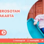 Sewa Perosotan Anak Jakarta