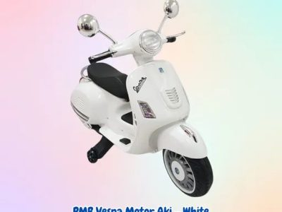 PMB Vespa Motor Aki